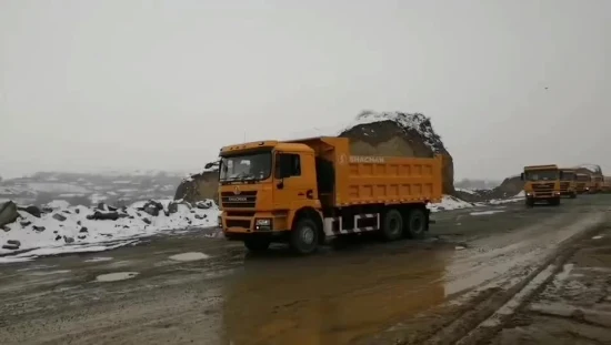 Caminhão Shacman tanque de água 300HP/Euroiv 8X4 Armazenamento de água agrícola Caminhão de aspersão de água boa para venda